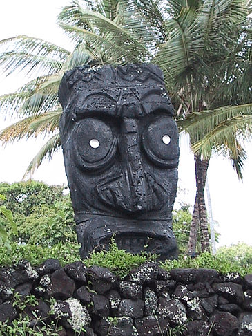 Foto Hawaiis Straßenränder - 