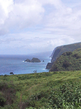 Fotos Hawaiis Straßenränder | 