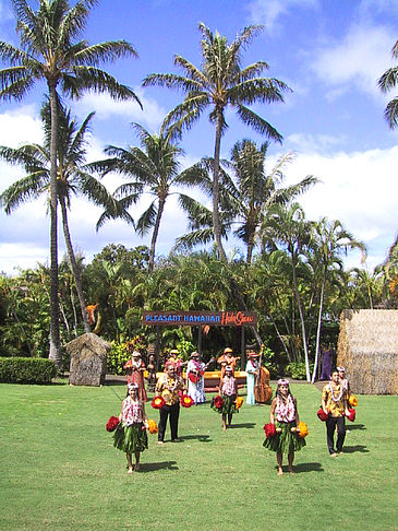 Hula Show Foto 