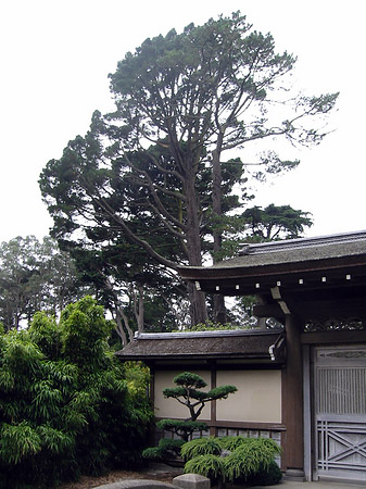 Golden Gate Park mit Botanischen Garten Foto 