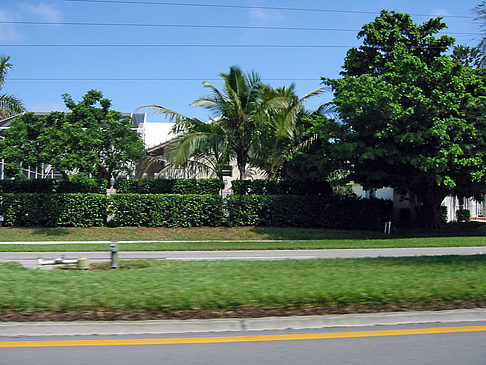 Straßenrand auf Marco Island Foto 