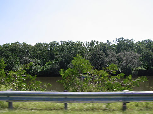 Foto Straßenrand auf Marco Island