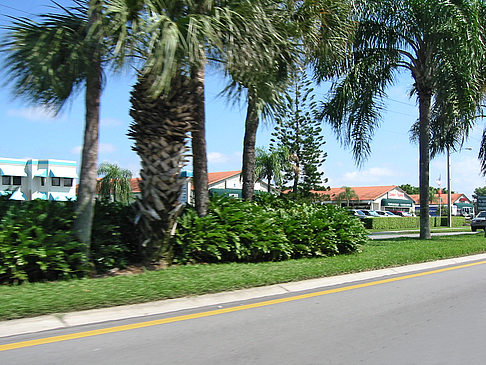 Straßenrand auf Marco Island Foto 