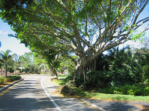 Fotos Straße