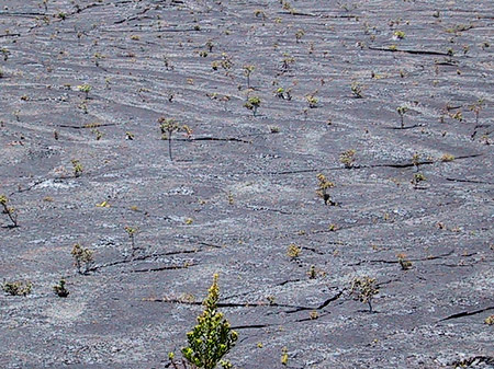 Foto Erstarrte Lava - 