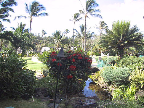 Gärten auf Kauai Fotos