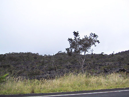 Foto Hawaiis Straßenränder