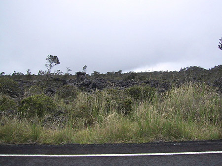 Foto Hawaiis Straßenränder