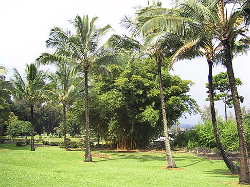 Foto Hawaiis Straßenränder