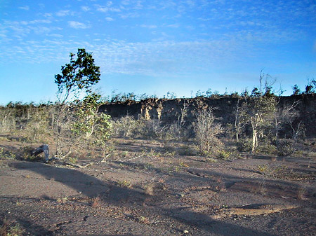 Hawaiis Straßenränder Foto 