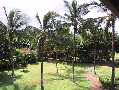 Fotos Hotelanlage auf Maui