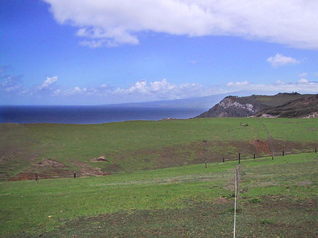 Fotos Landschaft auf Maui | 