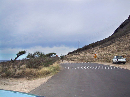 Straßen auf Oahou