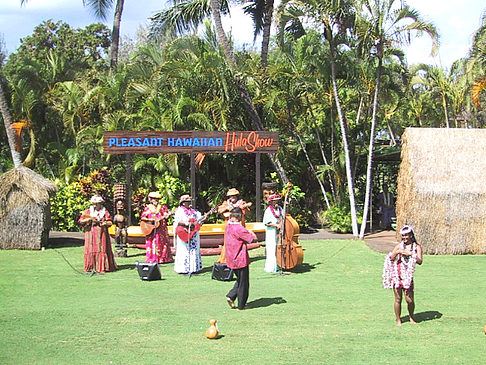 Hula Show Foto 