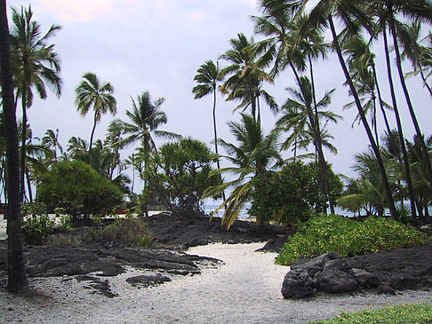 Foto Der Strand von Hawaii - 