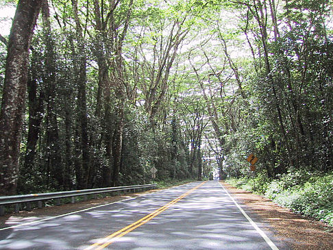 Straßen auf Hawaii Foto 