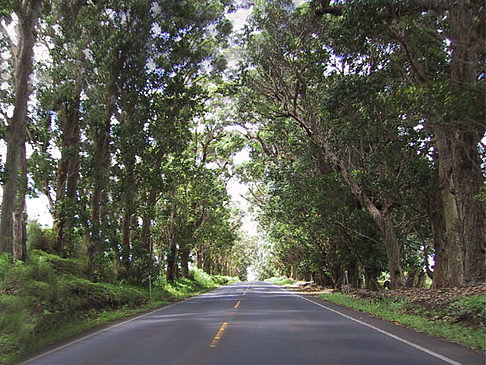 Straßen auf Kauai Foto 