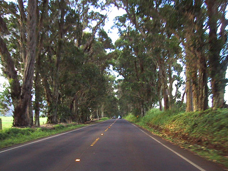 Straßen auf Kauai