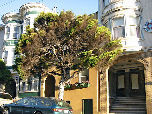 Straßen von San Francisco Fotos