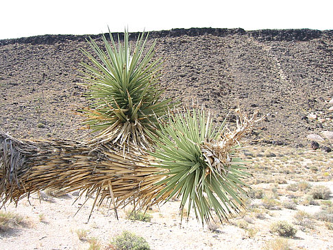 Lone Pine - Panamint Springs