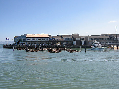 Fotos Fishermans Pier 39 bis 45 | San Francisco