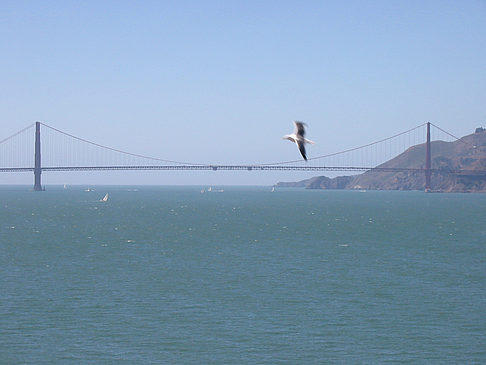 Foto Golden Gate Bridge - San Francisco