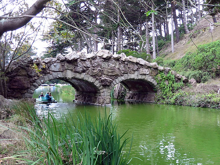 Fotos Golden Gate Park mit Botanischen Garten | San Francisco