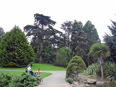 Golden Gate Park mit Botanischen Garten Foto 