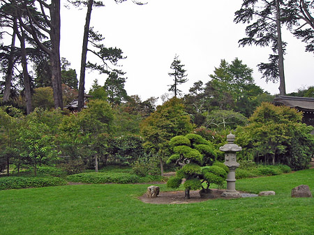 Foto Golden Gate Park mit Botanischen Garten