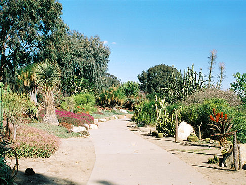 Fotos Balboa Park | San Diego