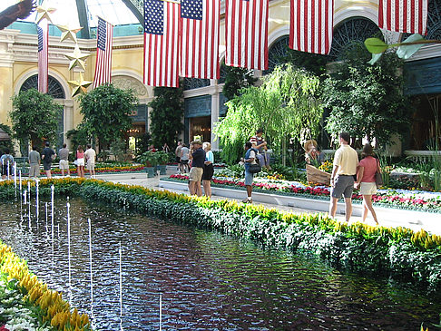 Fotos Hotel Bellagio | Las Vegas