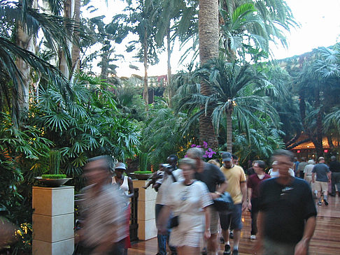 Foto Hotel Mirage